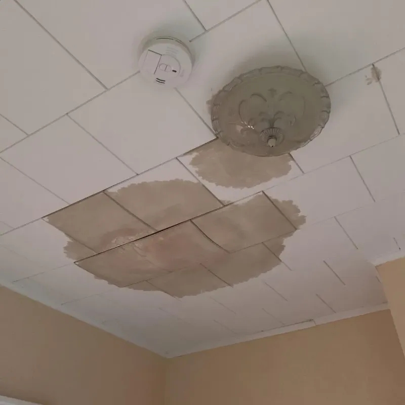 Ceiling Water Damage Repair in Knox County, OH