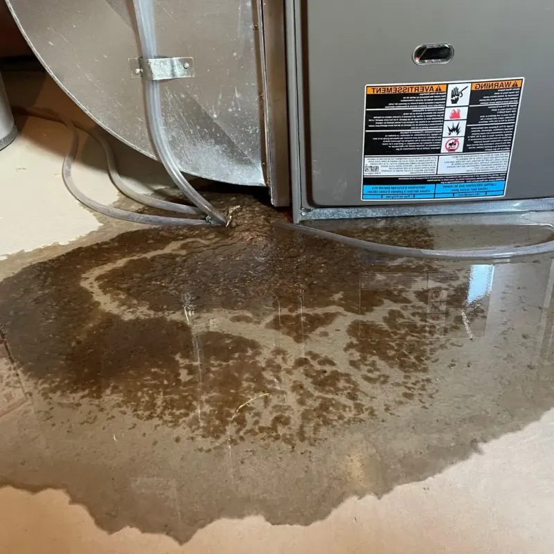 Pipe Burst and Leak Restoration in Knox County, OH