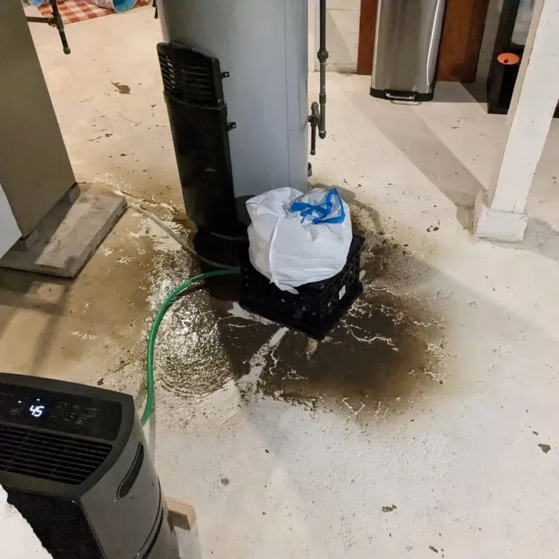 Sewage Backup Cleanup Service in Knox County, OH